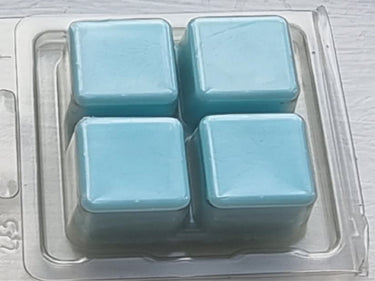 Ocean Breeze Wax Melts